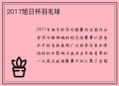 2017旭日杯羽毛球