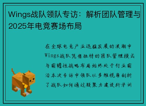Wings战队领队专访：解析团队管理与2025年电竞赛场布局